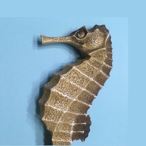 new 12-inch Seahorse - Coastal Nautical Beach House Decor - Resin NOT Ceramic - Picture 5 of 5
